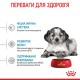 Royal Canin Medium Puppy Сухий корм для цуценят