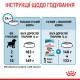 Royal Canin Medium Puppy Сухой корм для щенков 