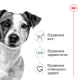 Royal Canin Mini Adult Сухий корм для собак