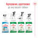 Royal Canin Mini Adult Сухой корм для собак 