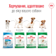 Royal Canin Mini Adult 8+ Сухий корм для собак