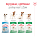 Royal Canin Mini Adult 8+ Сухий корм для собак