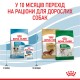 Royal Canin Mini Puppy Сухий корм для цуценят