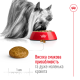 Royal Canin Xsmall Adult Сухой корм для собак