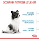 Royal Canin Xsmall Puppy Сухой корм для щенков