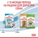Royal Canin Xsmall Puppy Сухий корм для цуценят