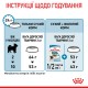 Royal Canin Xsmall Puppy Сухой корм для щенков