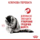 Royal Canin Hairball Care Сухой корм для взрослых кошек 