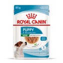 Royal Canin Mini Puppy Консерви для цуценят