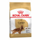 Royal Canin Cocker Adult Сухий корм для собак