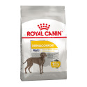 Royal Canin Maxi Dermacomfort Сухой корм для собак