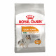 Royal Canin Mini Coat Care Сухой корм для собак 
