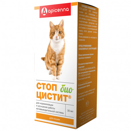 Цистит у кошек: симптомы и лечение - SUPERPET