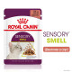 Royal Canin Sensory Smell Gravy Консервы для взрослых кошек 