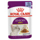 Royal Canin Sensory Smell Jelly Консерви для дорослих кішок