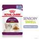 Royal Canin Sensory Smell Jelly Консерви для дорослих кішок