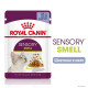 Royal Canin Sensory Smell Jelly Консервы для взрослых кошек