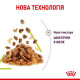 Royal Canin Sensory Smell Jelly Консерви для дорослих кішок