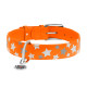 Collar Waudog Glamour Нашийник для собак шкіряний світловідбиваючий Зірочка помаранчевий