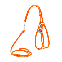 Collar Waudog Glamour Шлея с поводком для кошек и собак кожаная круглая оранжевая