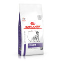 Royal Canin Dental Medium & Large Dog Лікувальний корм для собак
