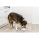 Trixie Пластиковая миска для собак для медленного кормления