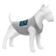 Collar Waudog Clothes Майка для собак Сміливість сітка сірий