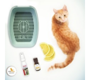 Коррекция поведения кошек