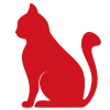 Коти