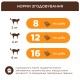 Club 4 Paws Premium Pillows Snack Salmon Лакомства для кошек подушечки с лососем