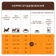 Club 4 Paws Premium Kitten Salmon Сухой корм для котят с лососем