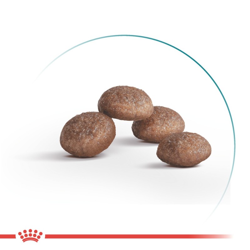 Royal Canin Sterilised 11+ Сухой корм для стерилизованных кошек
