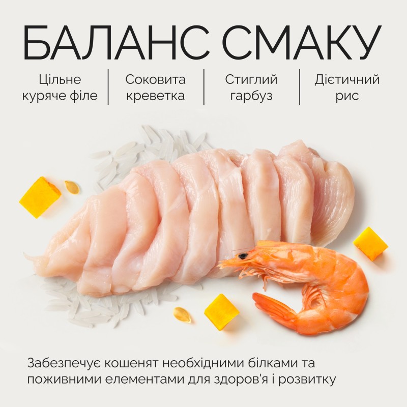 Savory Cat Kitten Chicken Fillets rich in Shrimps in Jelly Консервы для котят с куриным филе и креветками в желе