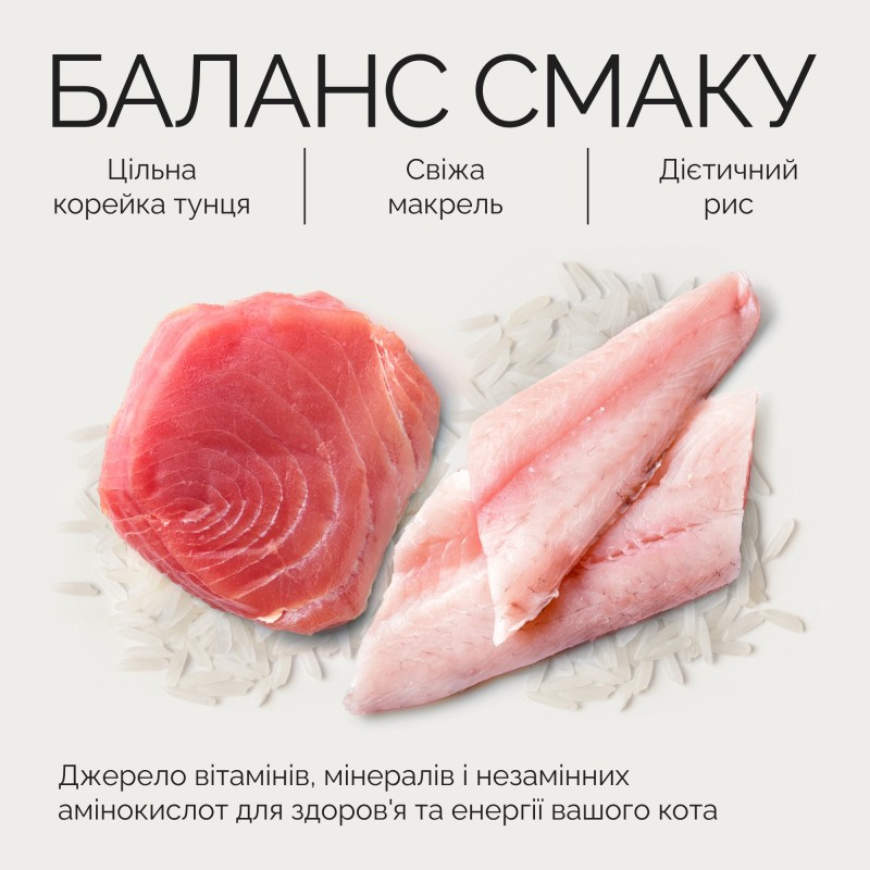 Savory Cat Adult Tuna Fillets rich in Mackerel in Jelly Консервы для взрослых кошек с филе тунца и макрелью в желе