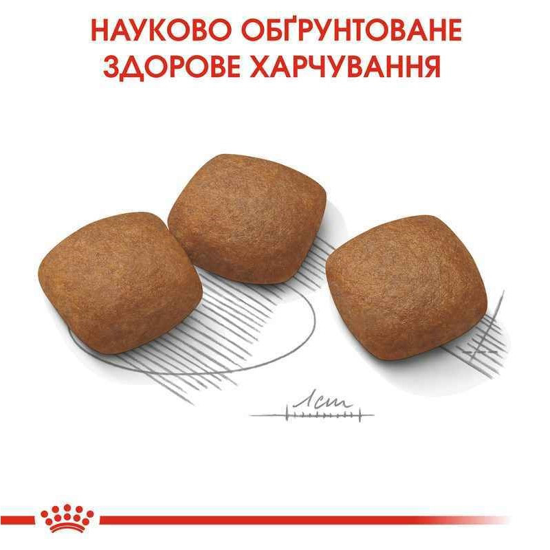 Royal Canin Maxi Joint Care Сухой корм для собак
