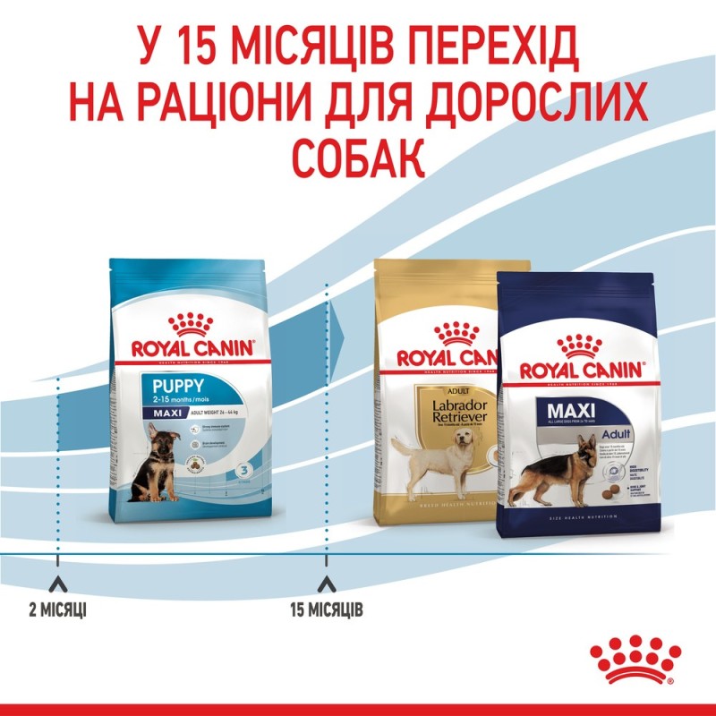 Royal Canin Maxi Puppy Сухой корм для щенков