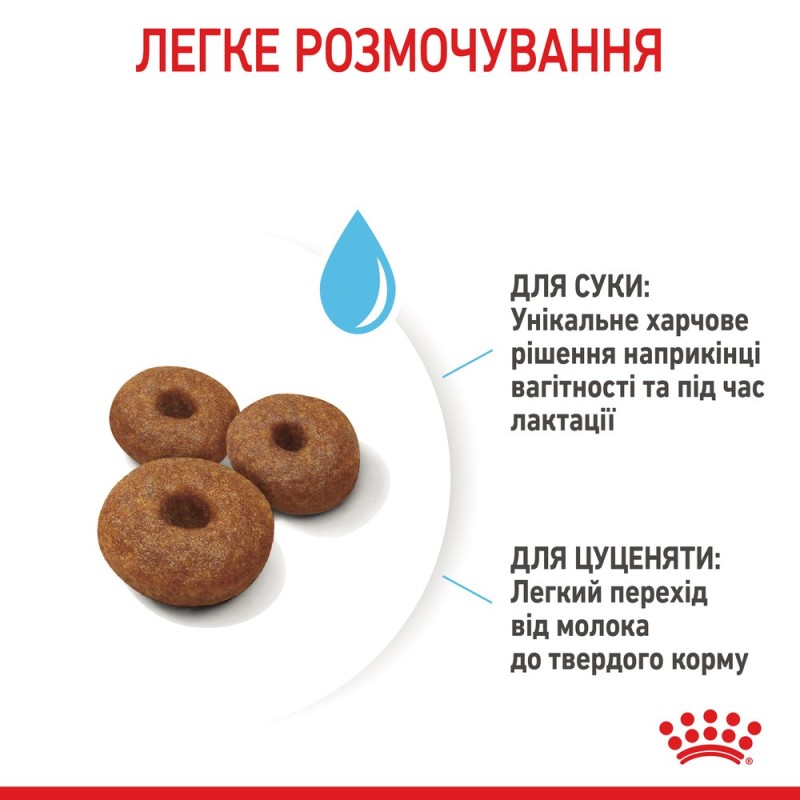 Royal Canin Maxi Starter Сухой корм для щенков