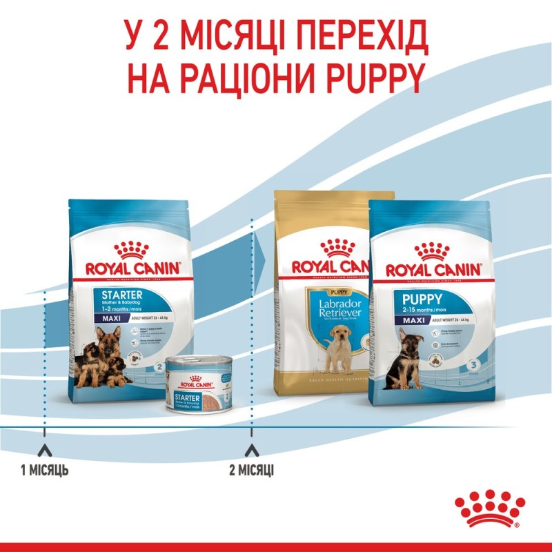 Royal Canin Maxi Starter Сухой корм для щенков