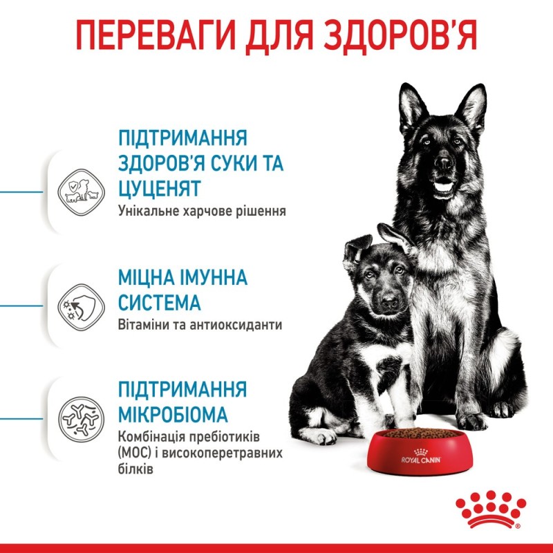 Royal Canin Maxi Starter Сухой корм для щенков