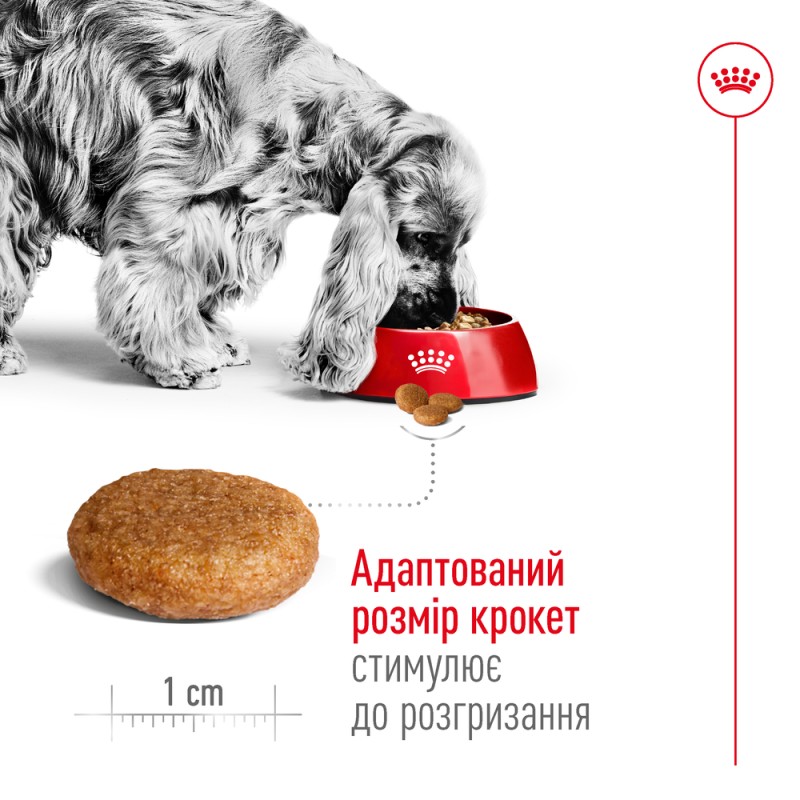 Royal Canin Medium Adult Сухой корм для собак