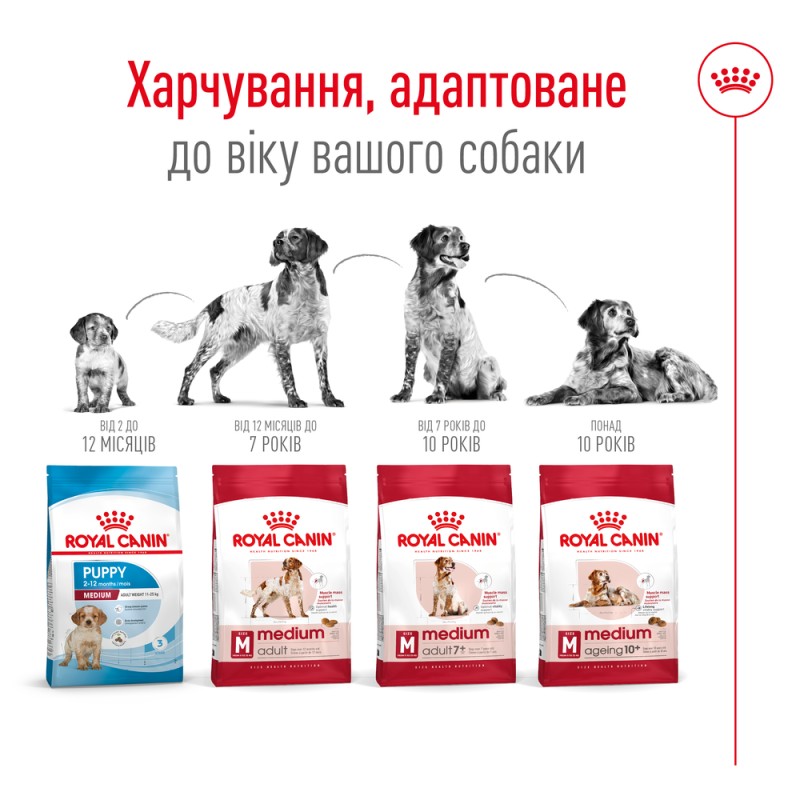 Royal Canin Medium Adult Сухой корм для собак