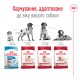 Royal Canin Medium Adult Сухой корм для собак