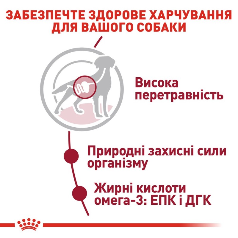 Royal Canin Medium Adult Консервы для собак