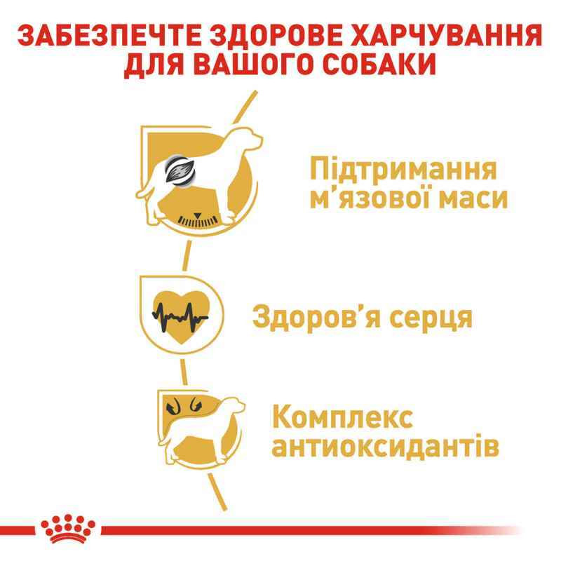 Royal Canin Boxer Adult Сухой корм для собак