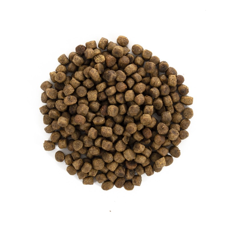 Brit Care Cat Grain-Free Kitten Беззерновий сухий корм для кошенят з куркою та індичкою