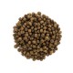 Brit Care Cat Grain-Free Kitten Беззерновий сухий корм для кошенят з куркою та індичкою