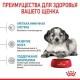 Royal Canin Medium Puppy Сухой корм для щенков