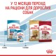 Royal Canin Medium Puppy Сухой корм для щенков