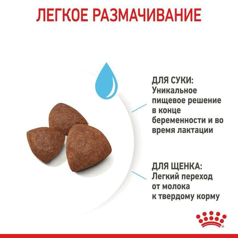 Royal Canin Medium Starter Сухой корм для щенков