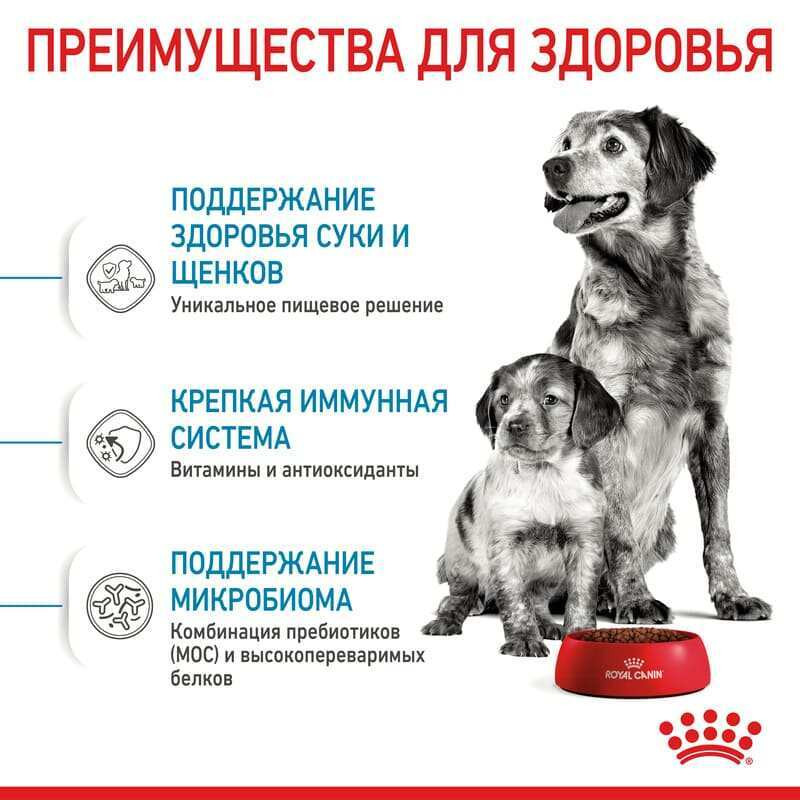Royal Canin Medium Starter Сухой корм для щенков